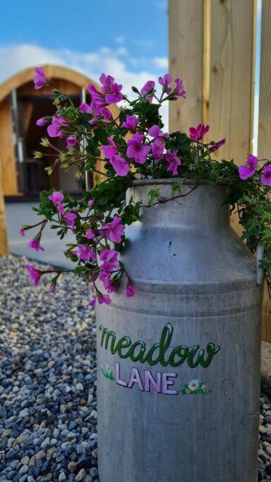 Meadow Lane Apartman Sligo Kültér fotó