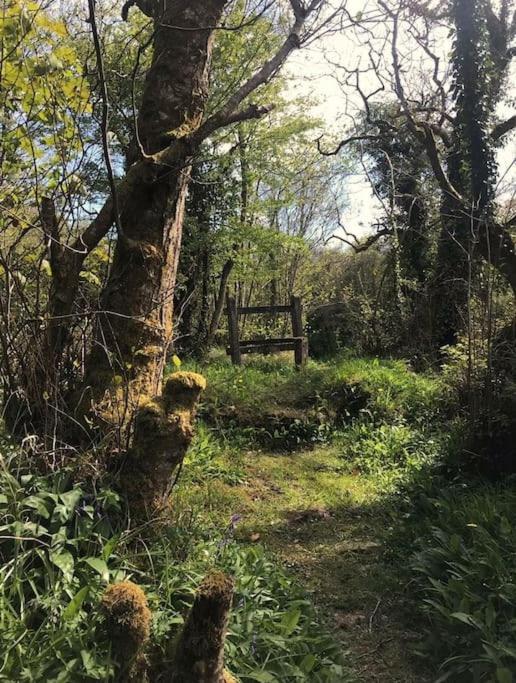 Meadow Lane Apartman Sligo Kültér fotó
